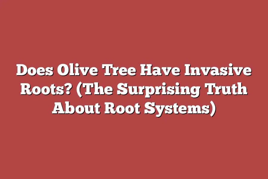 Does Olive Tree Have Invasive Roots? (The Surprising Truth About Root Systems)