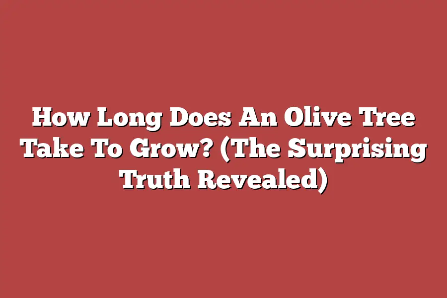 How Long Does An Olive Tree Take To Grow? (The Surprising Truth Revealed)