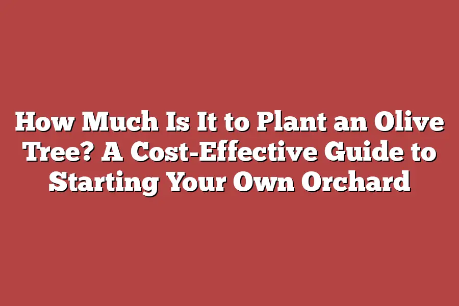 How Much Is It to Plant an Olive Tree? A Cost-Effective Guide to Starting Your Own Orchard