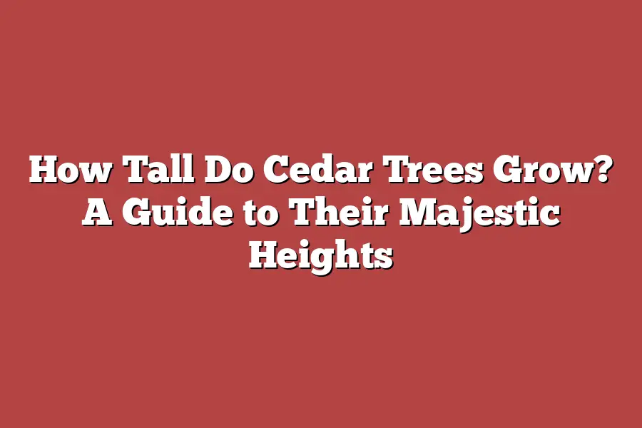 How Tall Do Cedar Trees Grow? A Guide to Their Majestic Heights