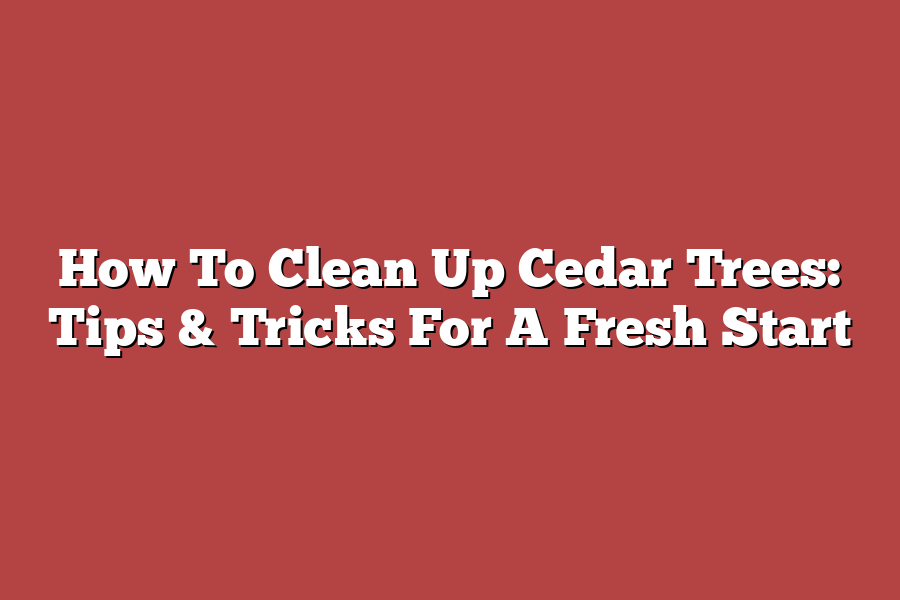 How To Clean Up Cedar Trees: Tips & Tricks For A Fresh Start