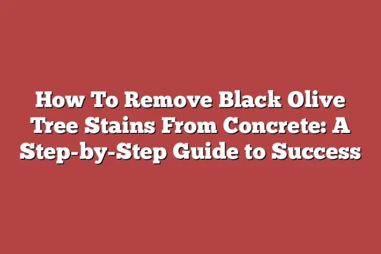 How To Remove Black Olive Tree Stains From Concrete A StepbyStep