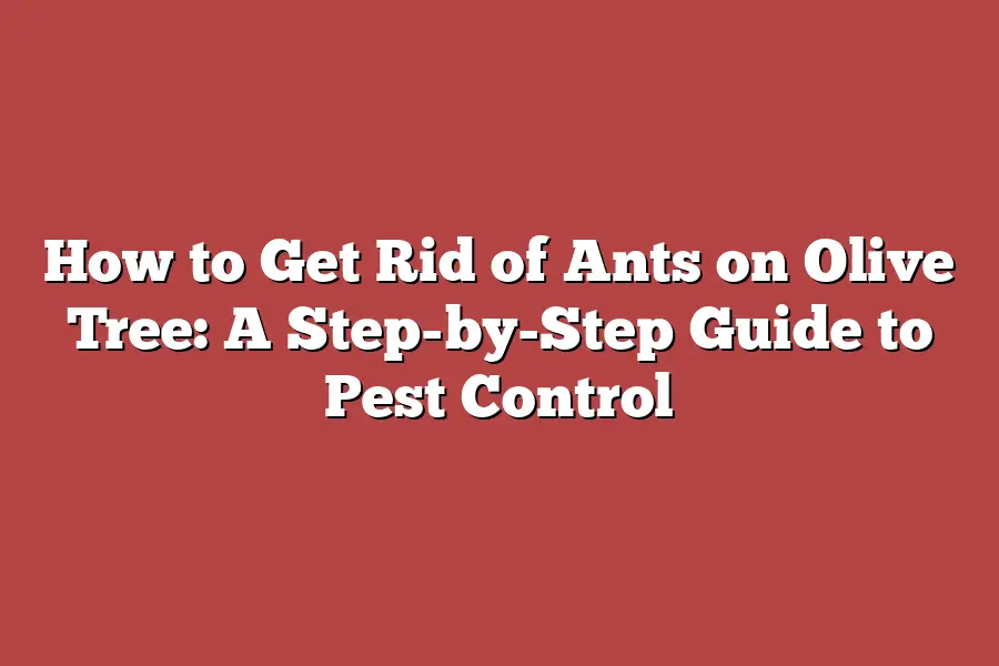 How to Get Rid of Ants on Olive Tree: A Step-by-Step Guide to Pest Control