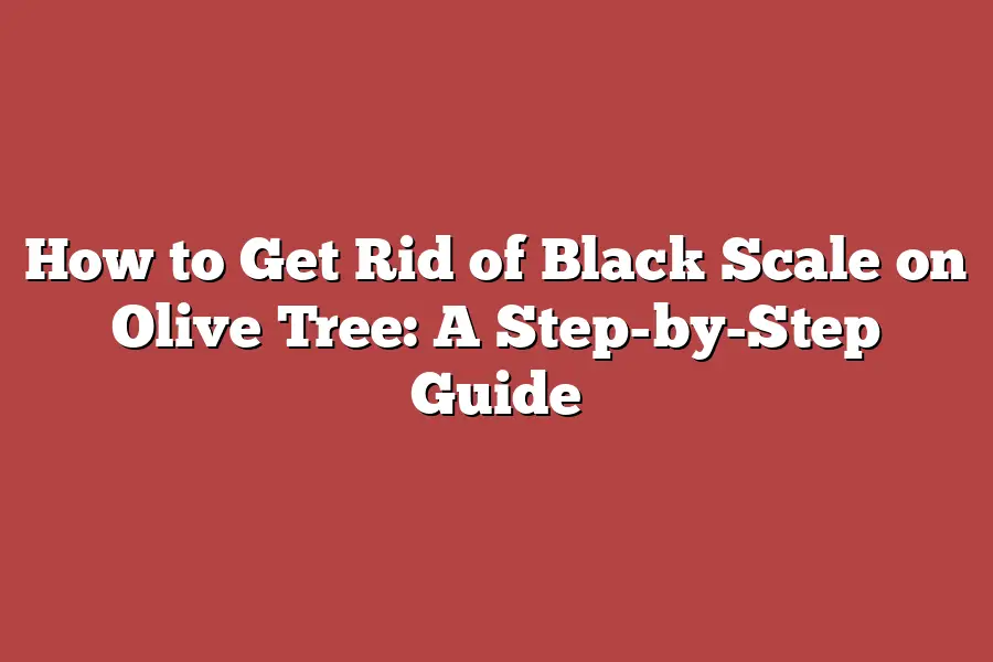 How to Get Rid of Black Scale on Olive Tree: A Step-by-Step Guide