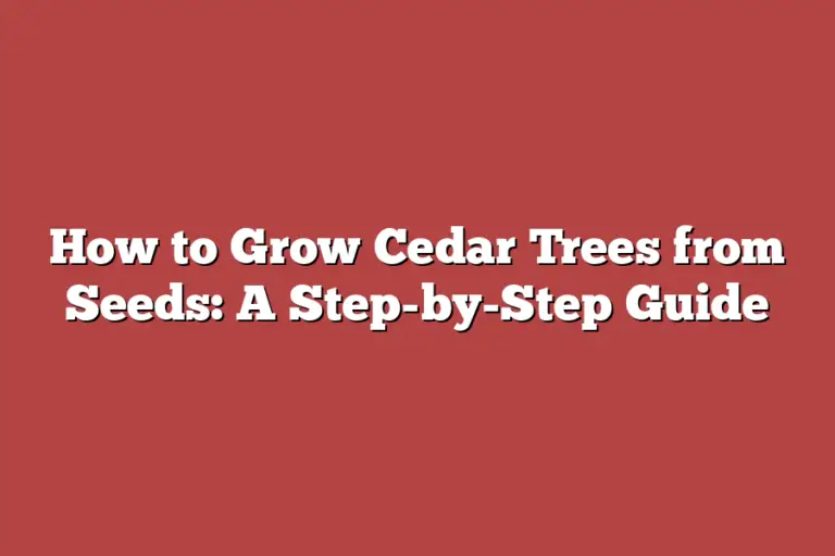 How to Grow Cedar Trees from Seeds A StepbyStep Guide Tree Pursuits