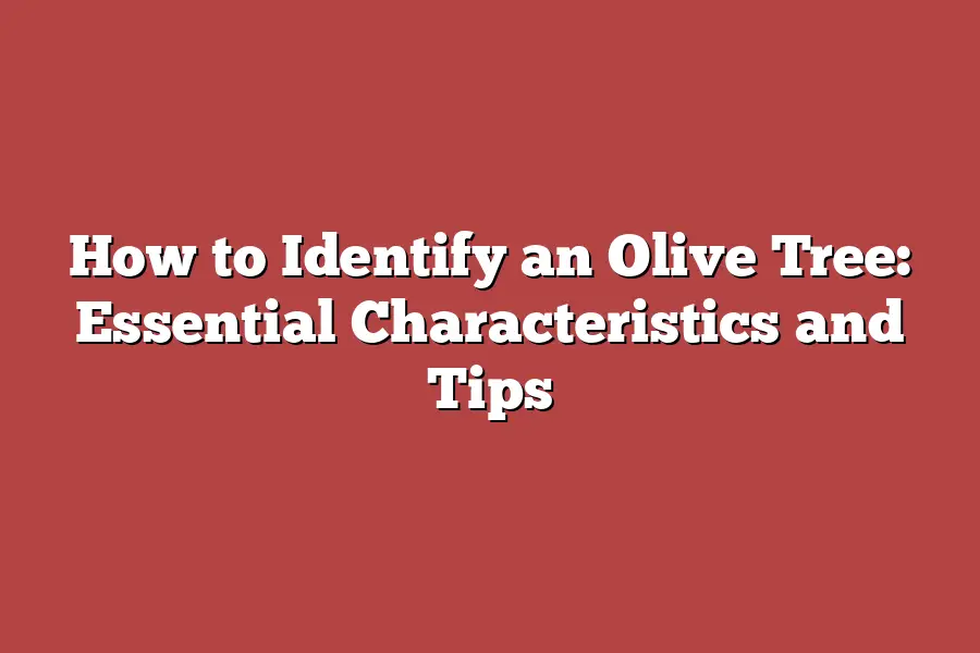 How to Identify an Olive Tree: Essential Characteristics and Tips