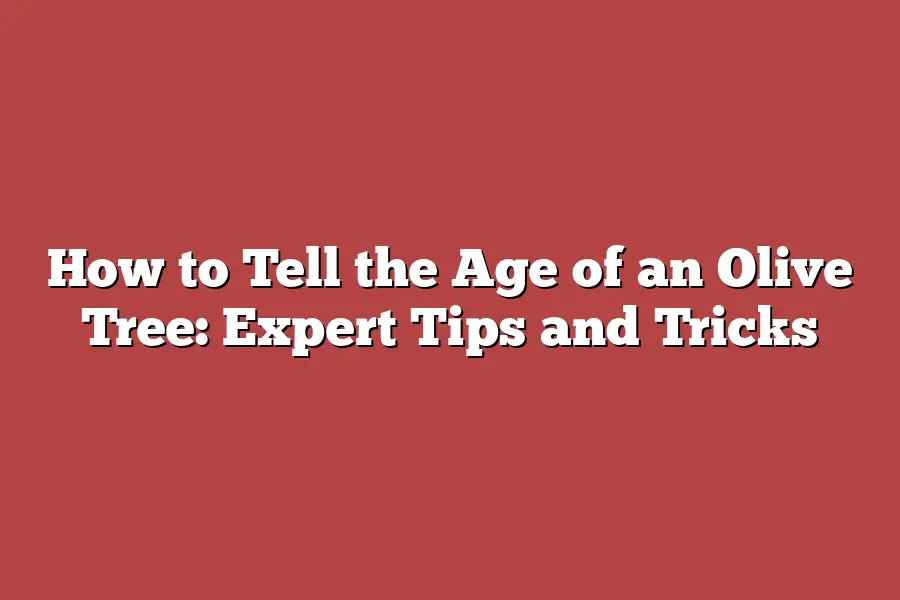 How to Tell the Age of an Olive Tree: Expert Tips and Tricks