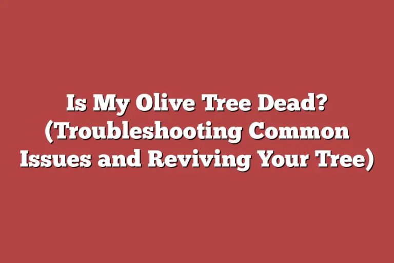 Is My Olive Tree Dead? (Troubleshooting Common Issues and Reviving Your
