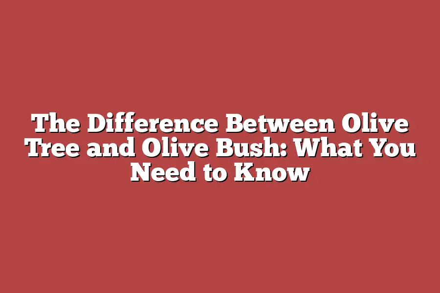 The Difference Between Olive Tree and Olive Bush: What You Need to Know