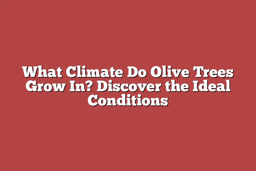 What Climate Do Olive Trees Grow In? Discover the Ideal Conditions