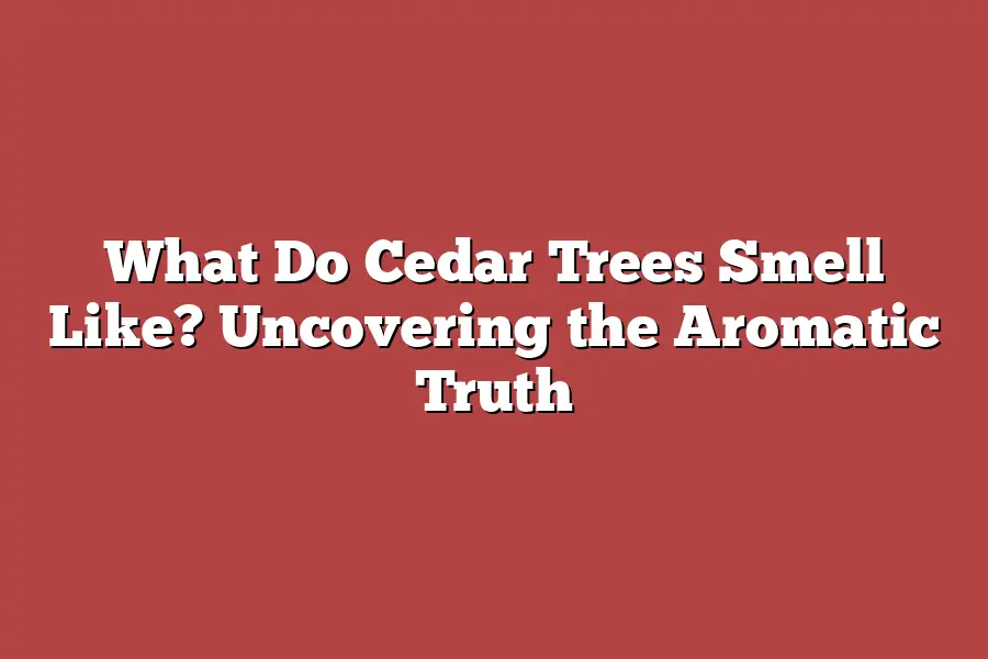 What Do Cedar Trees Smell Like? Uncovering the Aromatic Truth