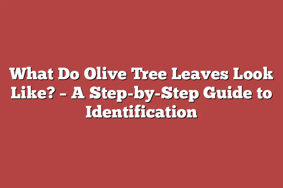 What Do Olive Tree Leaves Look Like? – A Step-by-Step Guide to Identification