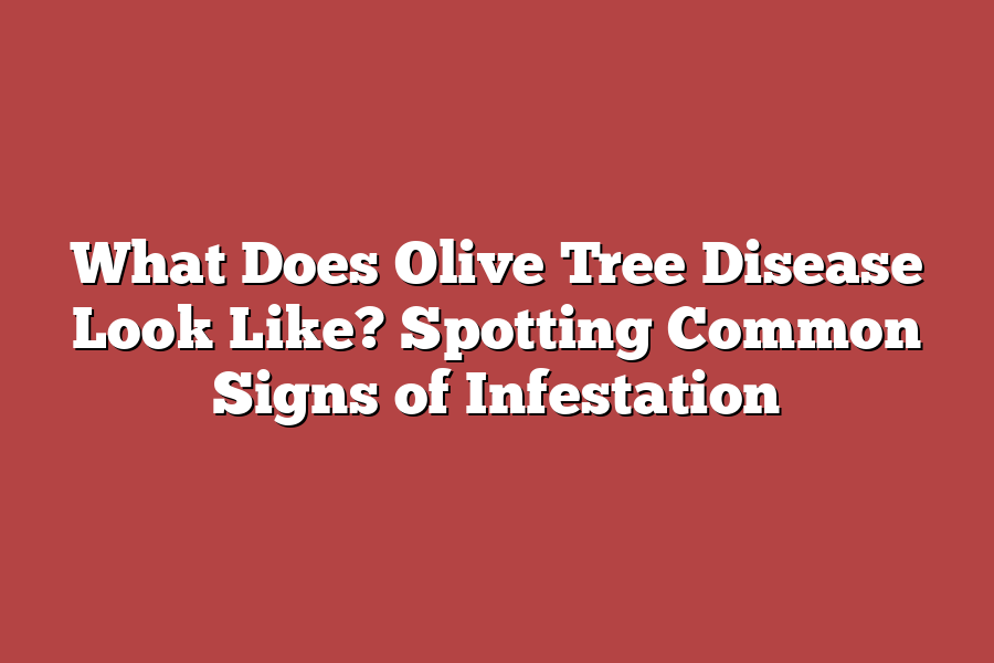 What Does Olive Tree Disease Look Like? Spotting Common Signs of Infestation