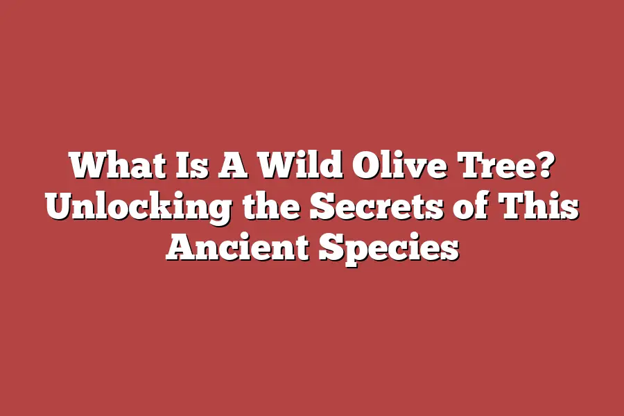 What Is A Wild Olive Tree? Unlocking the Secrets of This Ancient Species