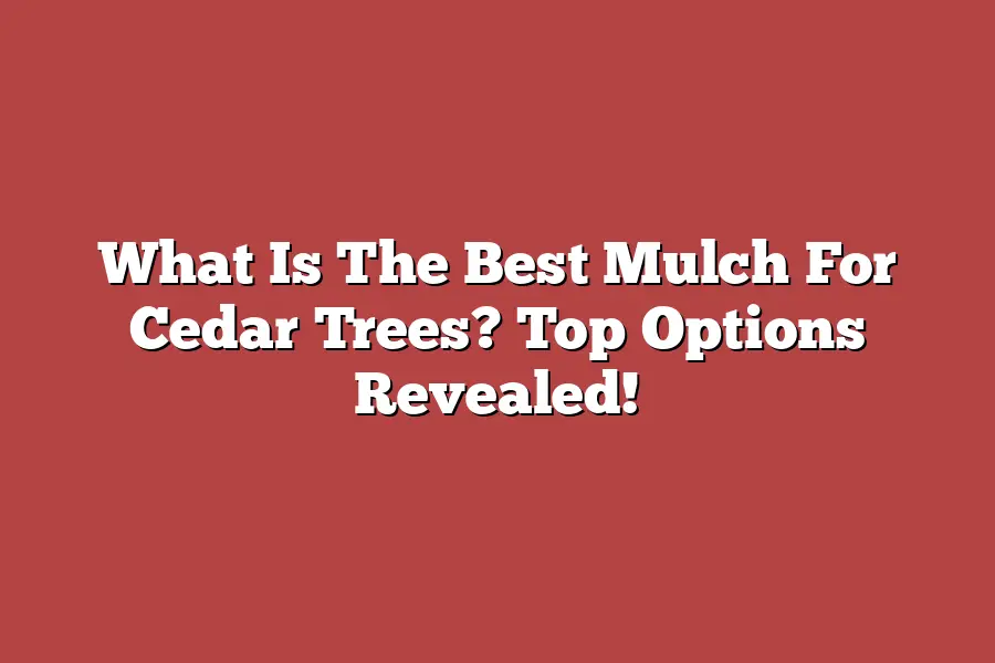 What Is The Best Mulch For Cedar Trees? Top Options Revealed!