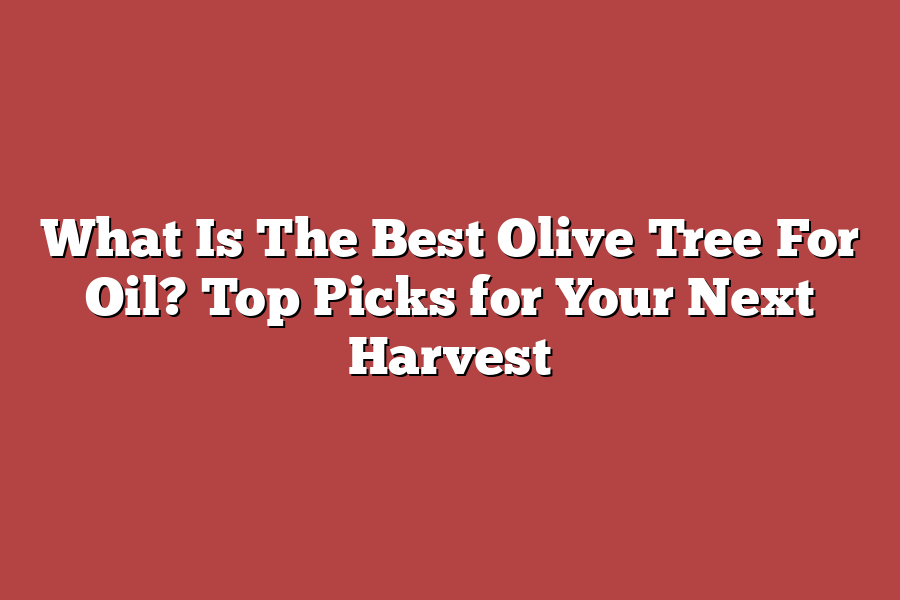 What Is The Best Olive Tree For Oil? Top Picks for Your Next Harvest