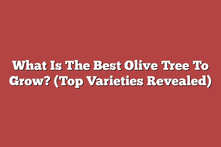 What Is The Best Olive Tree To Grow? (Top Varieties Revealed)