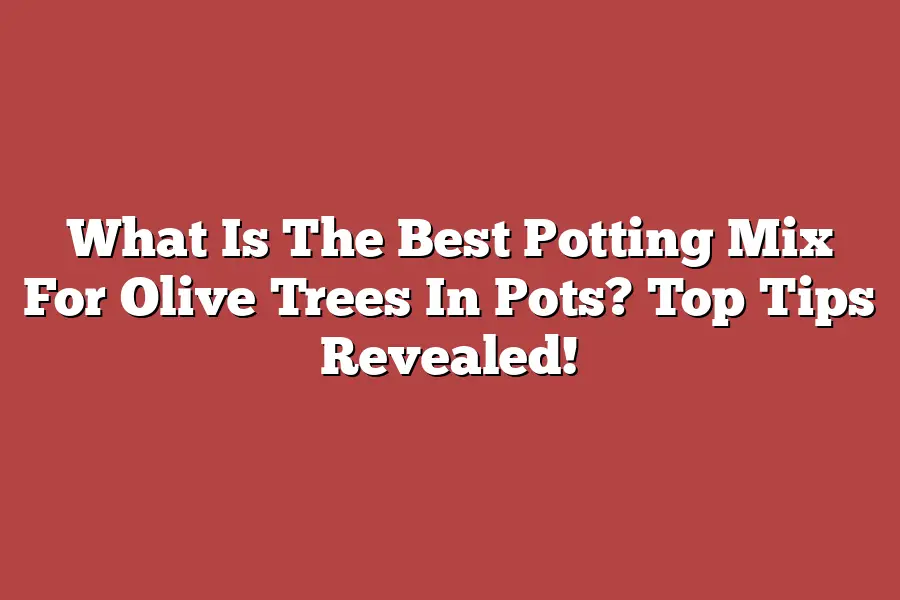 What Is The Best Potting Mix For Olive Trees In Pots? Top Tips Revealed!