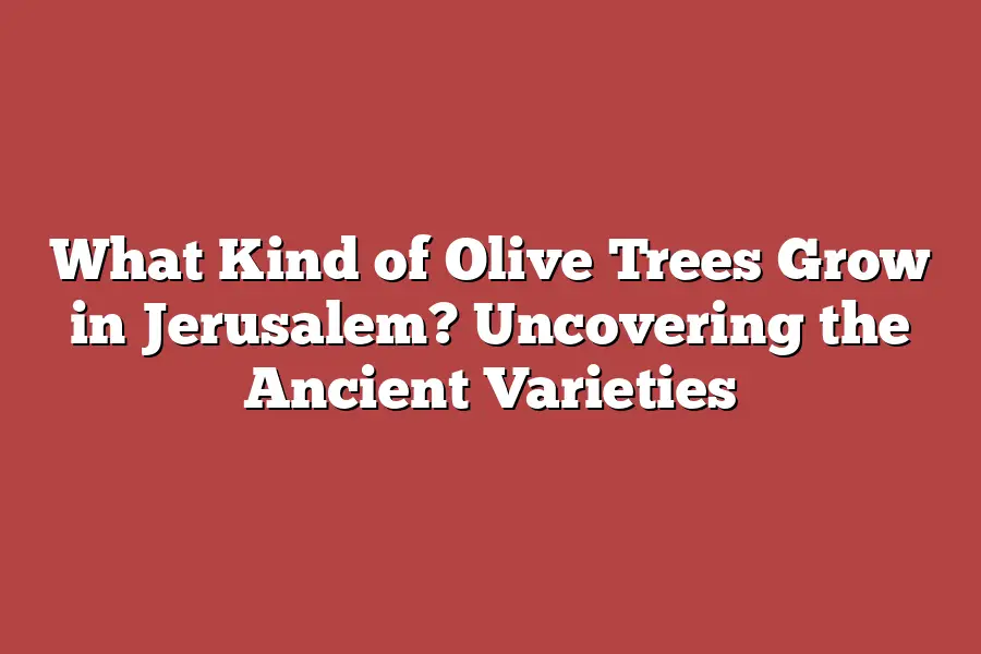 What Kind of Olive Trees Grow in Jerusalem? Uncovering the Ancient Varieties