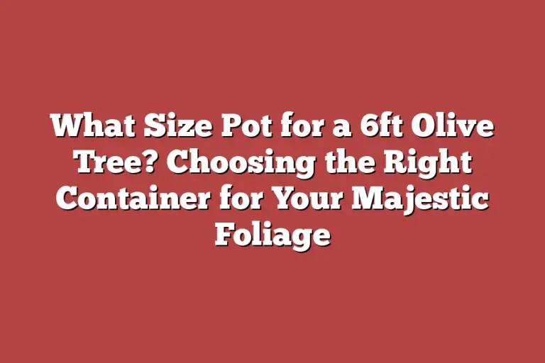 What Size Pot for a 6ft Olive Tree? Choosing the Right Container for