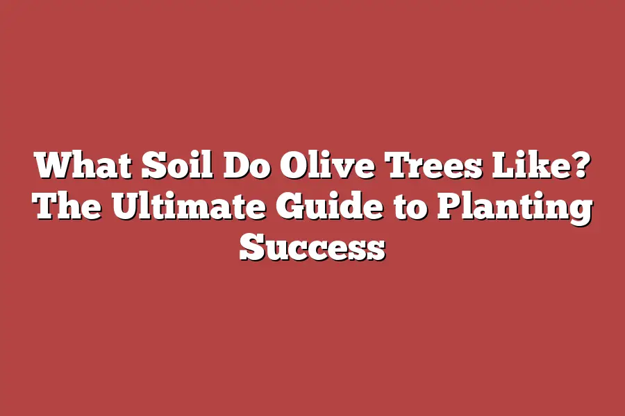 What Soil Do Olive Trees Like? The Ultimate Guide to Planting Success