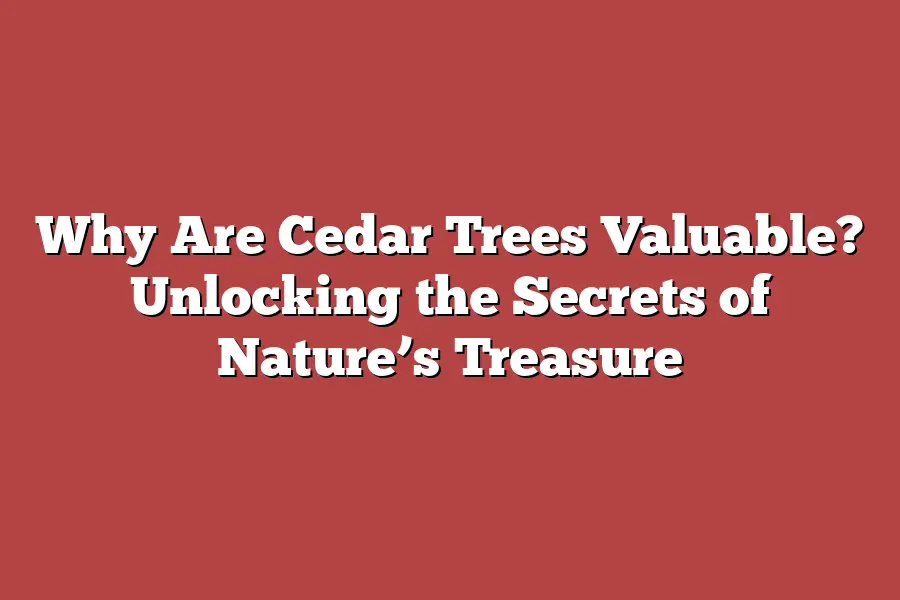 Why Are Cedar Trees Valuable? Unlocking the Secrets of Nature’s Treasure