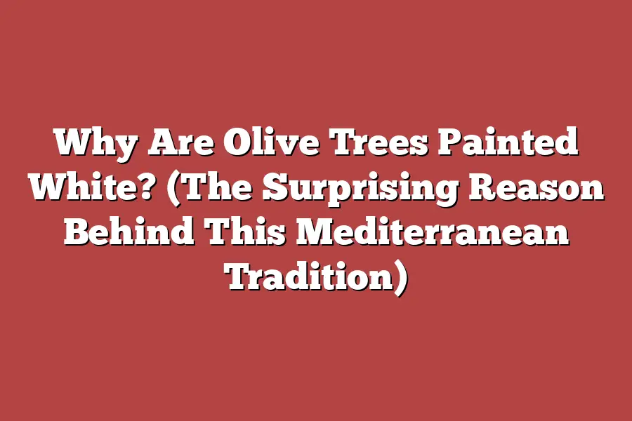 Why Are Olive Trees Painted White? (The Surprising Reason Behind This Mediterranean Tradition)