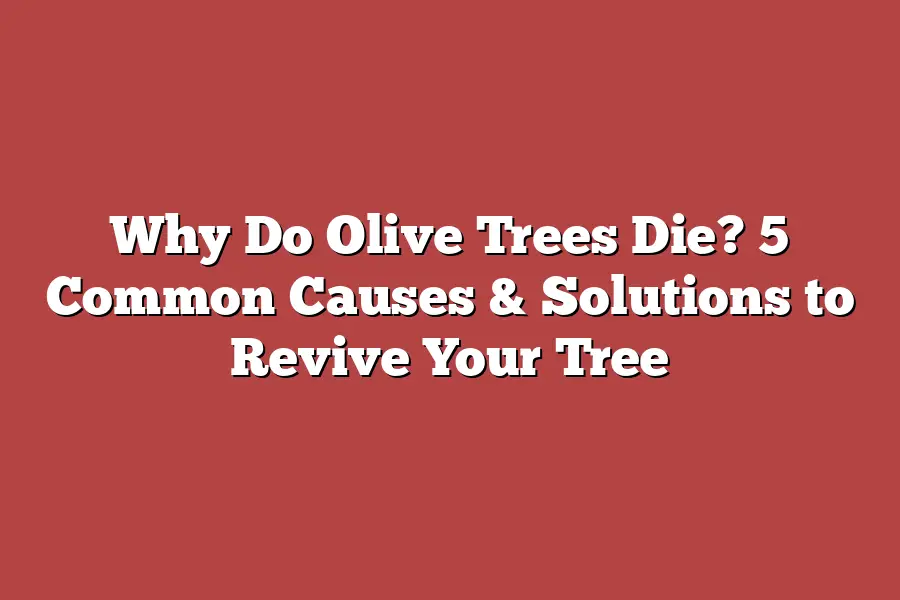 Why Do Olive Trees Die? 5 Common Causes & Solutions to Revive Your Tree