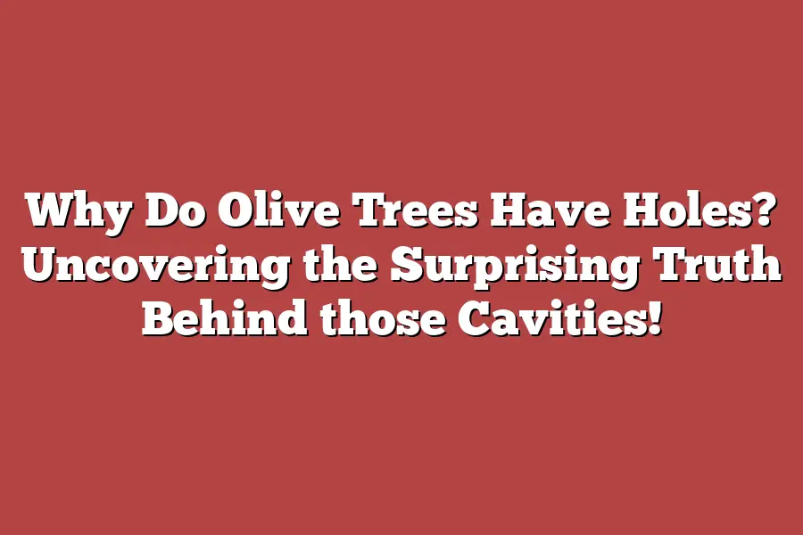 Why Do Olive Trees Have Holes? Uncovering the Surprising Truth Behind those Cavities!