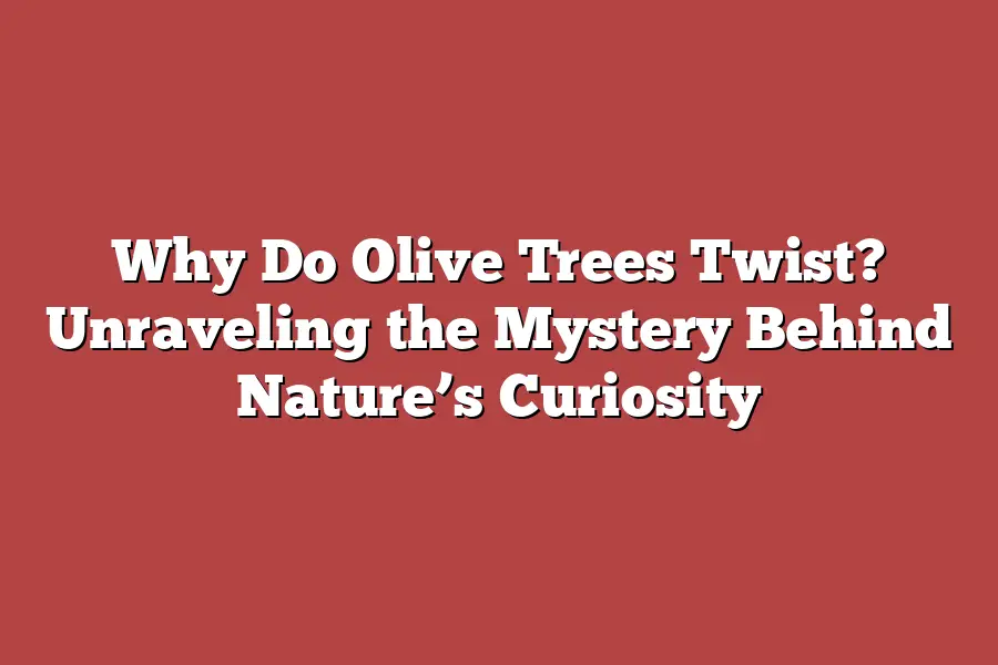 Why Do Olive Trees Twist? Unraveling the Mystery Behind Nature’s Curiosity