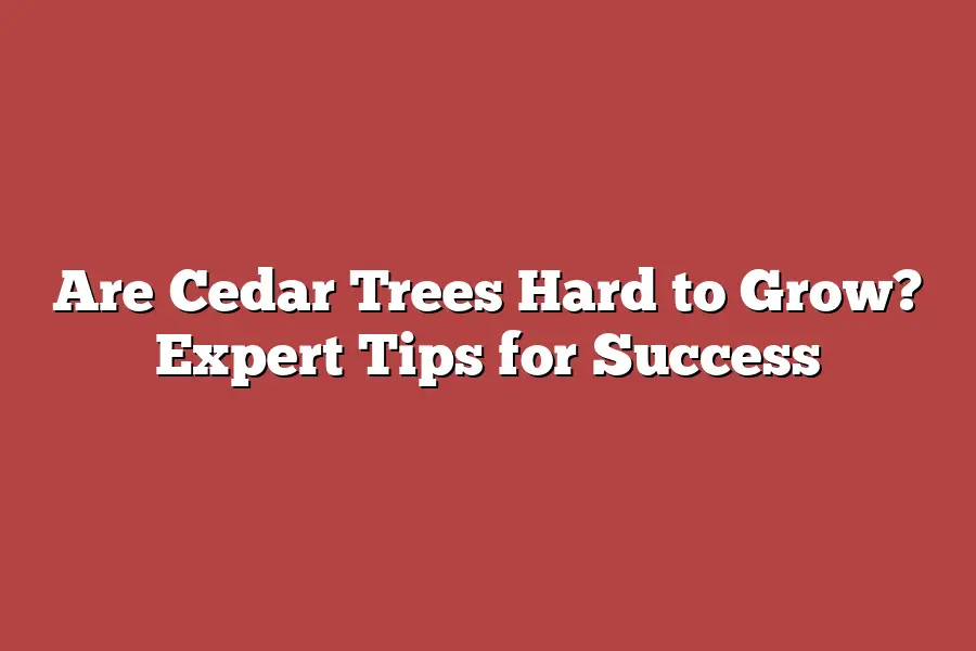 Are Cedar Trees Hard to Grow? Expert Tips for Success