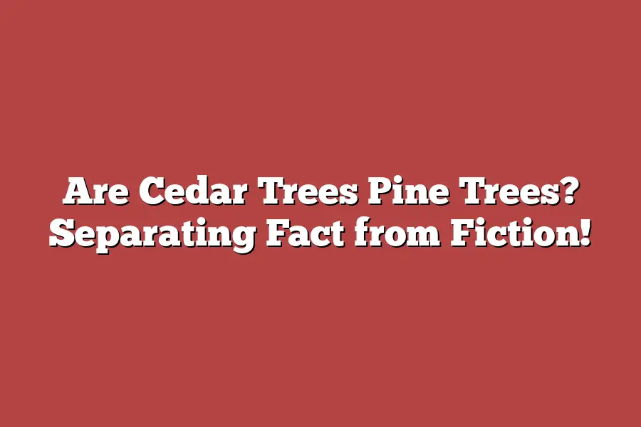 Are Cedar Trees Pine Trees? Separating Fact from Fiction!