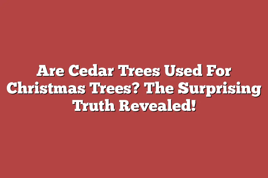 Are Cedar Trees Used For Christmas Trees? The Surprising Truth Revealed!