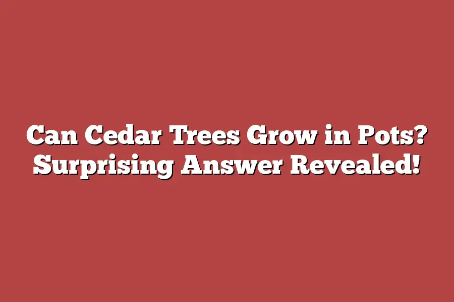 Can Cedar Trees Grow in Pots? Surprising Answer Revealed!