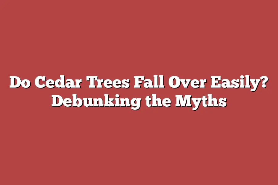 Do Cedar Trees Fall Over Easily? Debunking the Myths