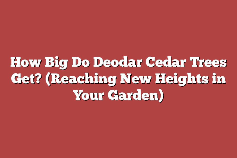 How Big Do Deodar Cedar Trees Get? (Reaching New Heights in Your Garden)