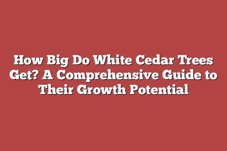 How Big Do White Cedar Trees Get? A Comprehensive Guide to Their Growth Potential