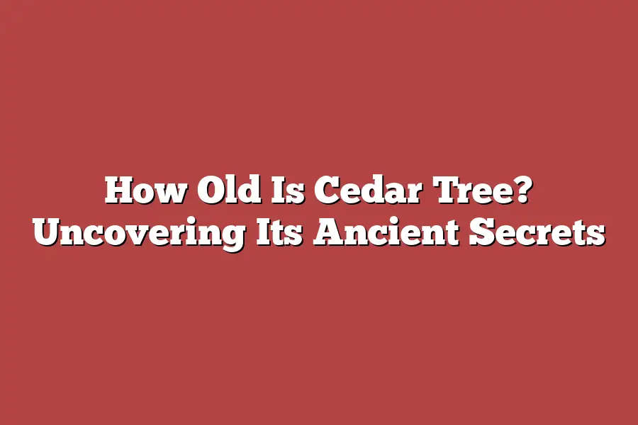 How Old Is Cedar Tree? Uncovering Its Ancient Secrets