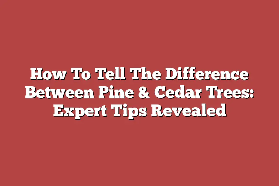 How To Tell The Difference Between Pine & Cedar Trees: Expert Tips Revealed