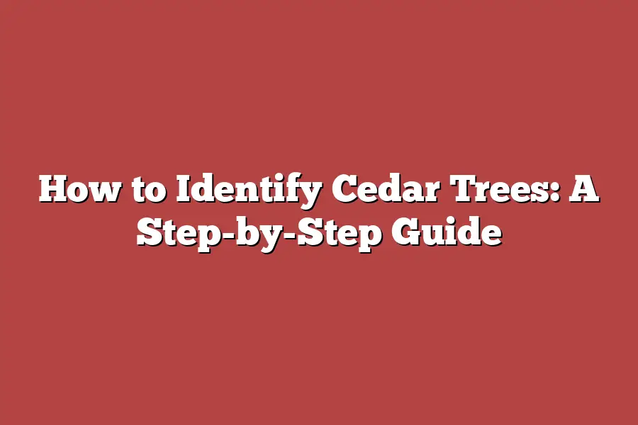 How to Identify Cedar Trees: A Step-by-Step Guide