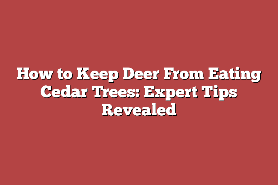 How to Keep Deer From Eating Cedar Trees: Expert Tips Revealed