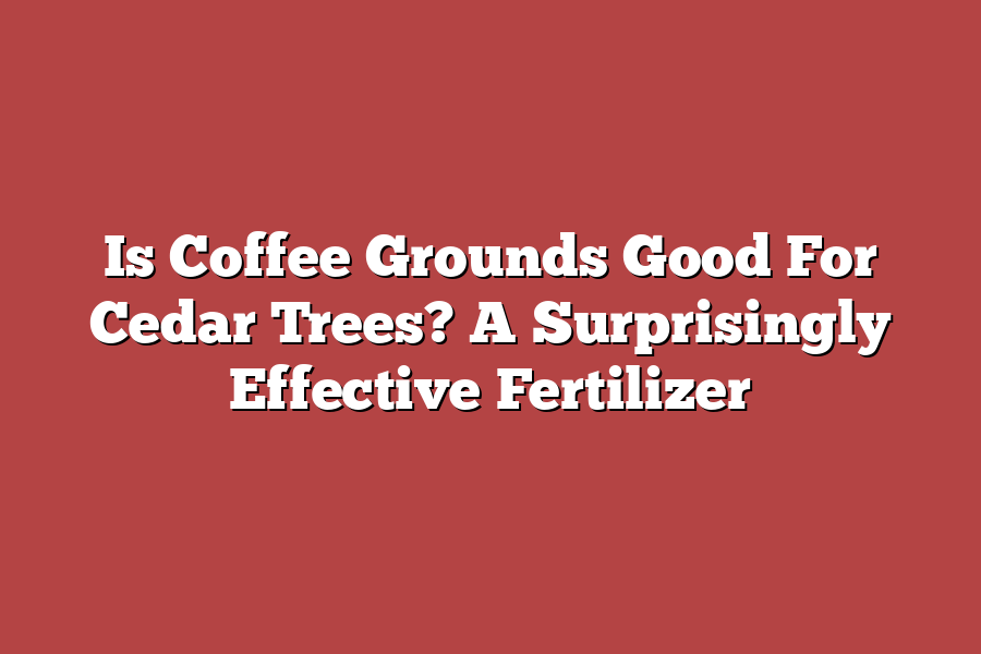 Is Coffee Grounds Good For Cedar Trees? A Surprisingly Effective Fertilizer