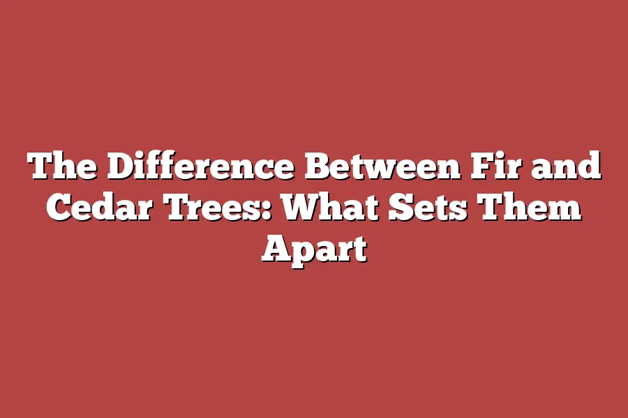 The Difference Between Fir and Cedar Trees: What Sets Them Apart