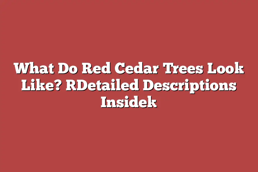 What Do Red Cedar Trees Look Like? [Detailed Descriptions Inside]