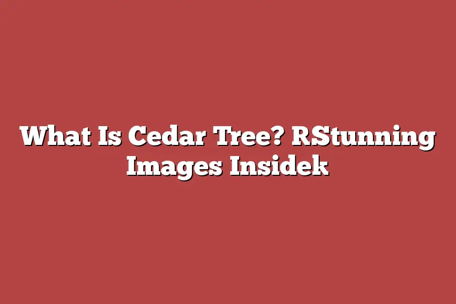 What Is Cedar Tree? [Stunning Images Inside]
