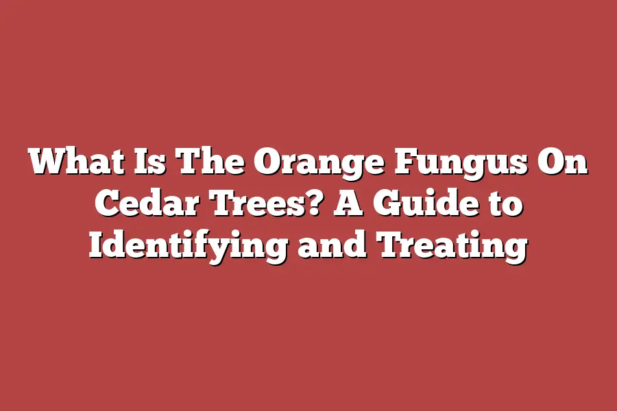 What Is The Orange Fungus On Cedar Trees? A Guide to Identifying and Treating