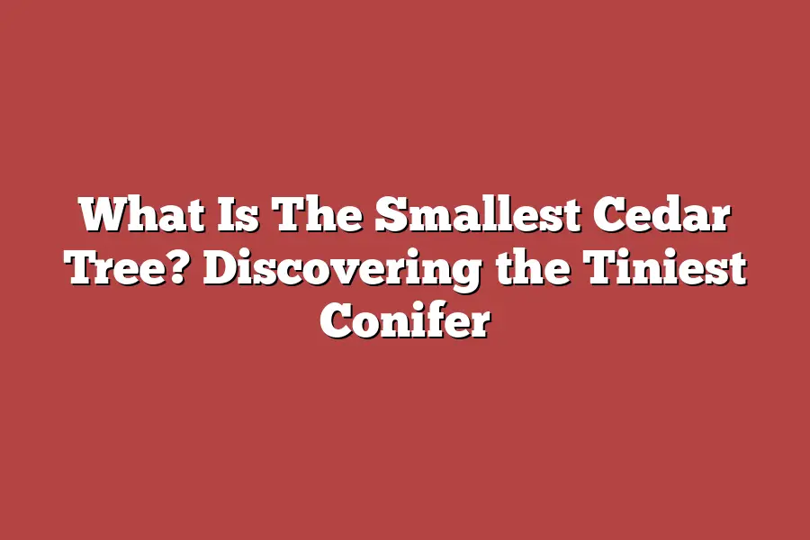 What Is The Smallest Cedar Tree? Discovering the Tiniest Conifer