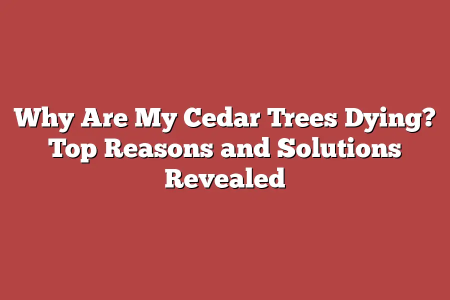 Why Are My Cedar Trees Dying? Top Reasons and Solutions Revealed