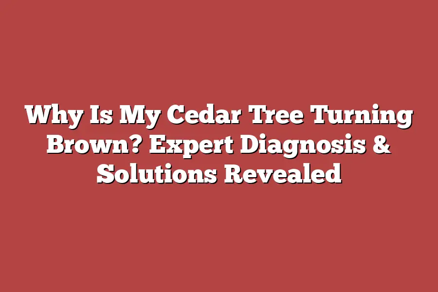 Why Is My Cedar Tree Turning Brown? Expert Diagnosis & Solutions Revealed