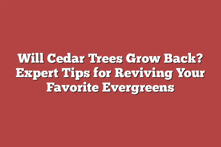 Will Cedar Trees Grow Back? Expert Tips for Reviving Your Favorite Evergreens